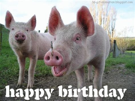 animated free gif: Happy Birthday Pig Greeting eCard funny happy birthday pig cartoons pigs farm ...