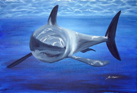 shark « Antemortem Arts | Art & Writing by Amy Crook