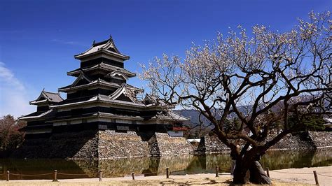 Matsumoto castle 1080P, 2K, 4K, 5K HD wallpapers free download | Wallpaper Flare