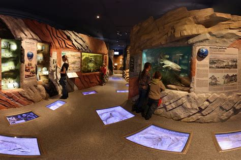 BRIGHT - 360° virtual tour for Latvian Museum of Natural History