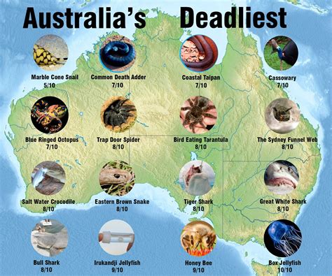 australia's deadliers are on the map