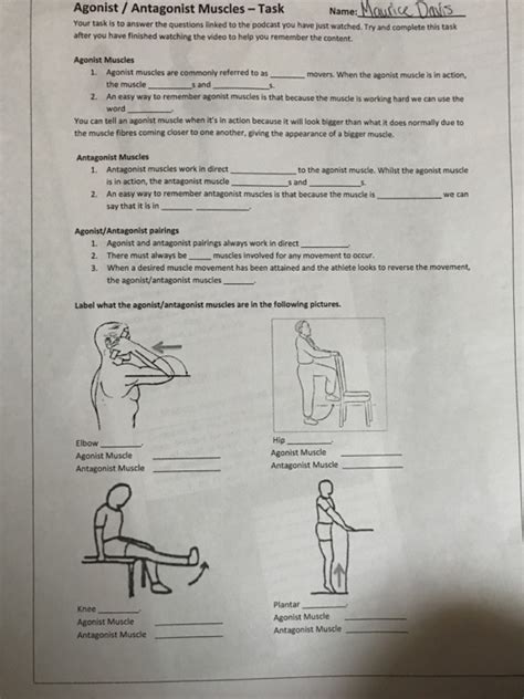 Solved Agonist / Antagonist Muscles-Task Name: Mouice Dais | Chegg.com
