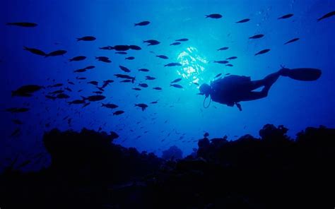 Scuba Diving [] for your , Mobile & Tablet. Explore Deep Sea Diving . Deep Sea Diving , Deep Sea ...