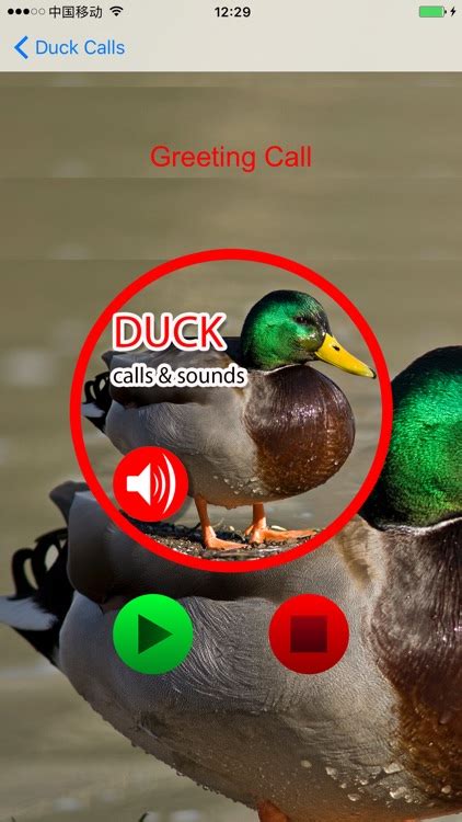 Duck Hunting Calls & Sounds - Real Duck Calls by Jing Ren