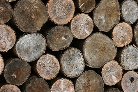 6 hi-res wood textures | High Resolution Textures