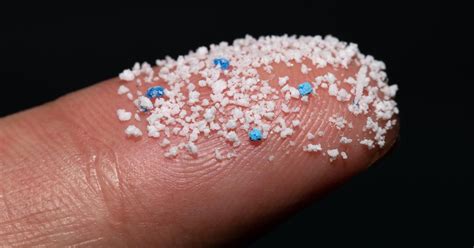 What Are Microplastics?