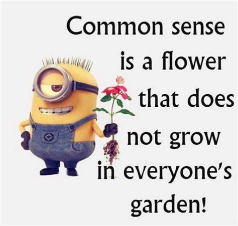 Funny Minions Quotes Of The Week