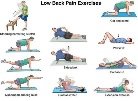 What are Iliopsoas Tendonitis and Iliopsoas Syndrome? - Live Well Chiropractic and Pilates ...