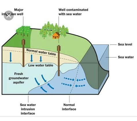 Diagram Of Water Table