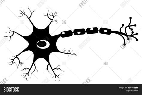 Neuron Icon On White Image & Photo (Free Trial) | Bigstock