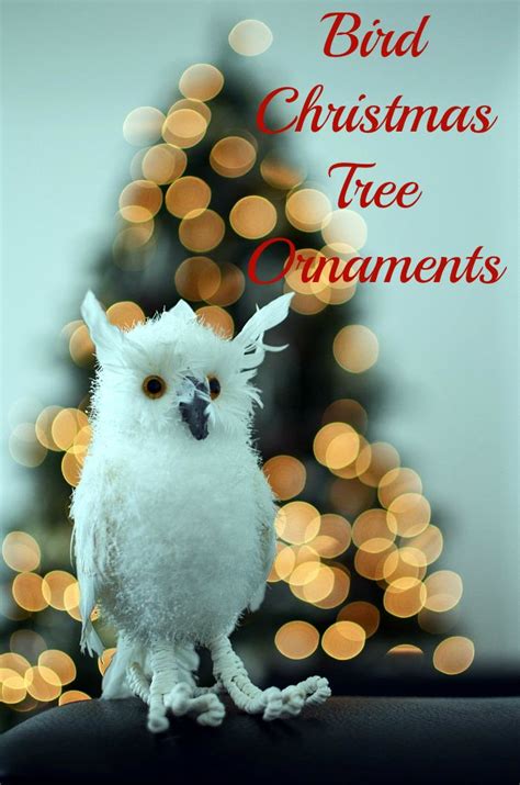 Beautiful Bird Christmas Tree Ornaments For Bird Lovers