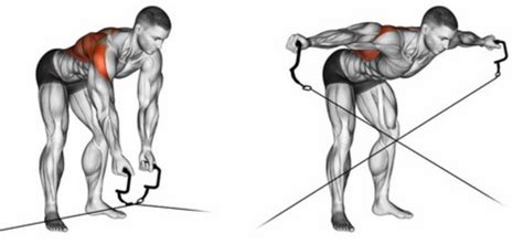 The Cable Rear Delt Fly | How To Maximize This Rear Delt Exercise!