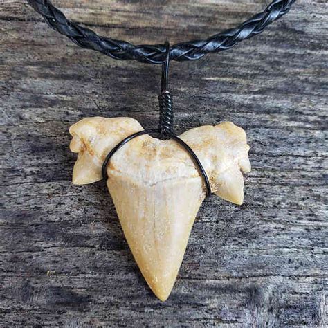 Otodus Shark Tooth Necklace | Sharksteeth.com