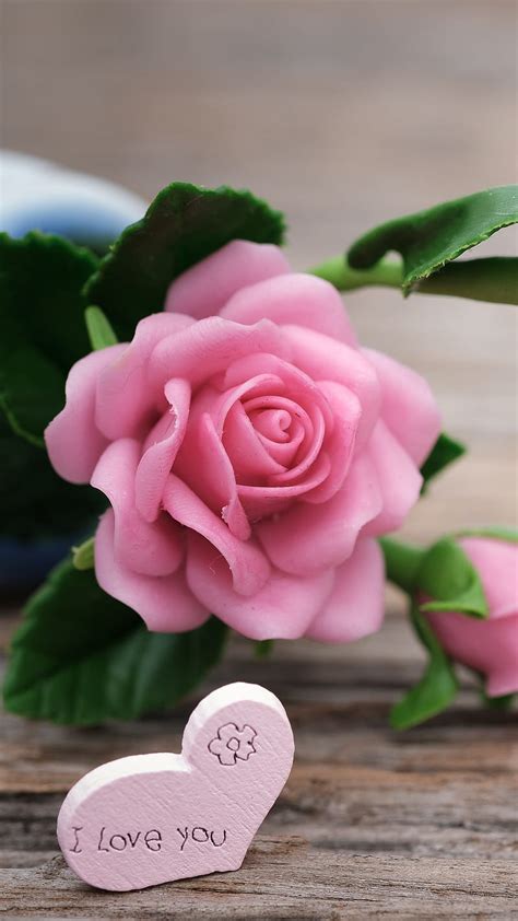 Details 200 pink roses background hd - Abzlocal.mx