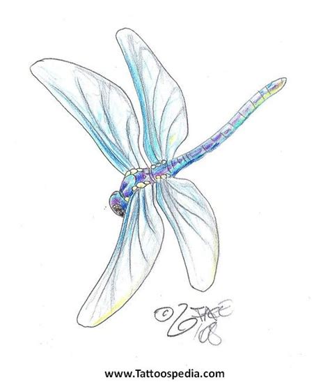 12 best Dragonfly Outline Tattoo images on Pinterest | Dragonflies, Dragon flies and Dragonfly ...