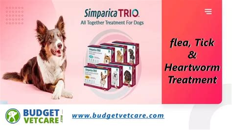 PPT - Simparica Trio flea, Tick & Heartworm Treatment for Dogs PowerPoint Presentation - ID:11438430