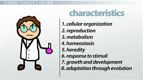 Characteristics Of Life Worksheet - Wendelina