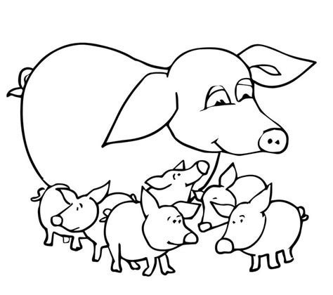 Coloring pages: Pig, printable for kids & adults, free