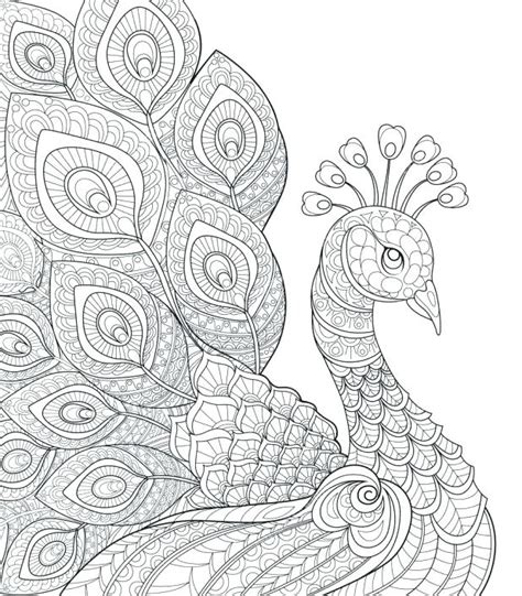 Peacock Feather Coloring Page at GetColorings.com | Free printable colorings pages to print and ...