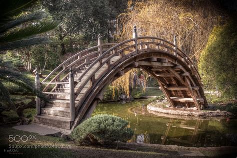 Photograph Japanese Garden Bridge by Frank Chiu on 500px