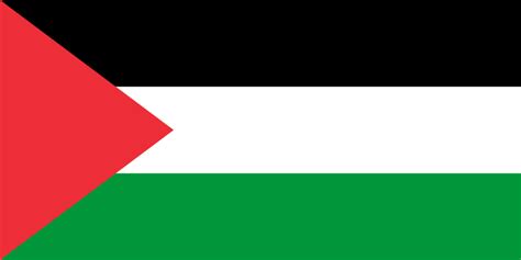 Palestine national football team - Wikipedia