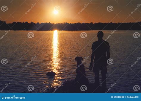 Friends at sunset stock photo. Image of pets, activity - 55380230