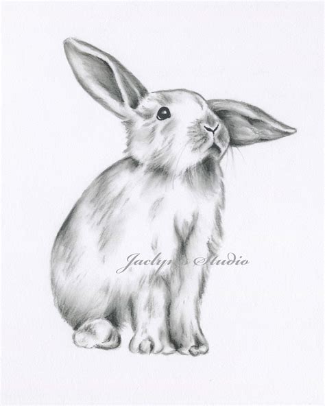 Rabbit Drawing Bunny Drawing Bunny Print Rabbit Print - Etsy UK