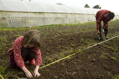 What is Sustainable Farming and Best Sustainable Farming Practices? - Conserve Energy Future