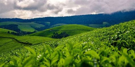 About Burundi | Green Hills Ecotours