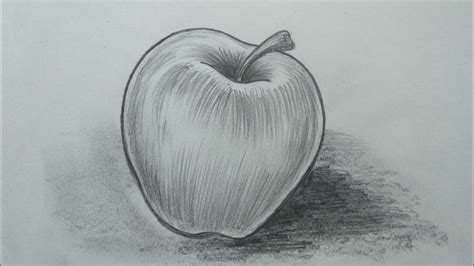 Pencil Sketch Apple Shading | atelier-yuwa.ciao.jp