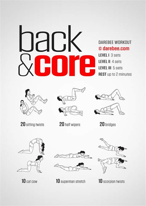 Back & Core Workout | Quick morning workout, Morning workout routine, Workout plan