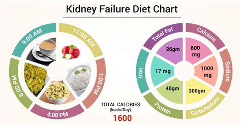 Stages Of Kidney Disease Chart