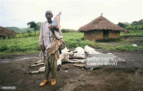 Lake Nyos Disaster Photos and Premium High Res Pictures - Getty Images