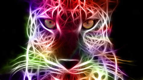 🔥 [50+] Rainbow Cheetah Wallpapers | WallpaperSafari