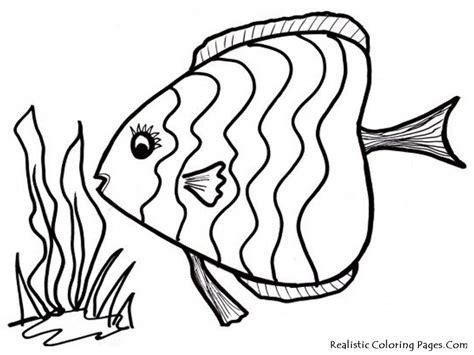 Free Rainbow Fish Outline, Download Free Rainbow Fish Outline png images, Free ClipArts on ...