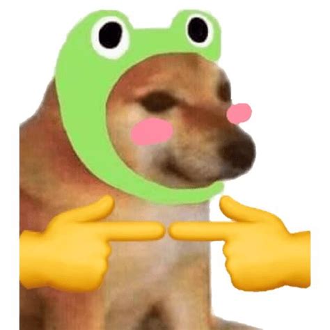 a dog is wearing a frog hat and pointing at it's reflection in the mirror