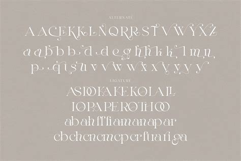 Elegant Serif Font on Behance