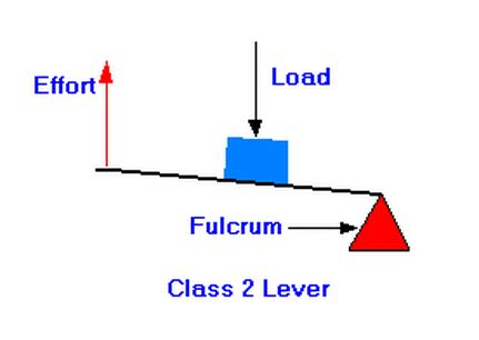 Second-Class Lever - Rube Goldberg