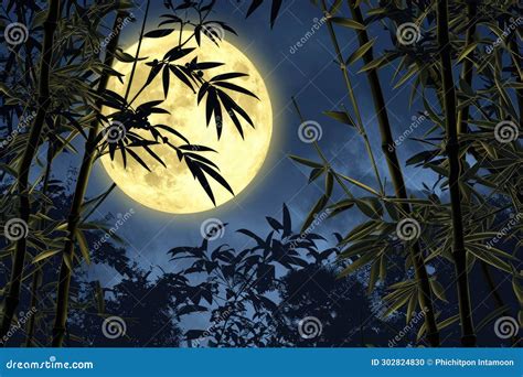 Exposure of Bamboo Forest and Full Moon in the Night Sky. Generative AI Stock Photo - Image of ...