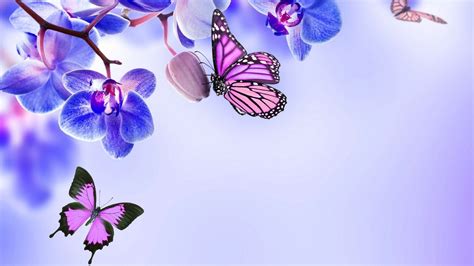 Butterfly Wallpaper for mobile phone, tablet, desktop computer and other devices HD and 4K ...