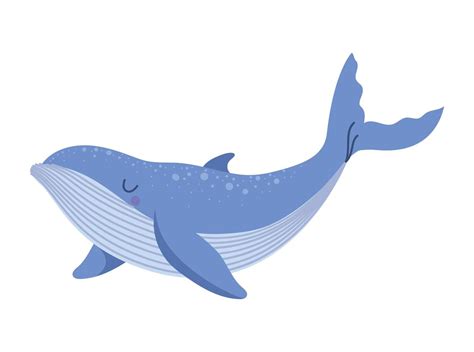 Blue Whale Vector Art, Icons, and Graphics for Free Download