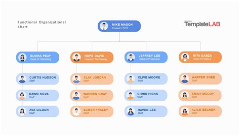 Basic Organizational Chart Template