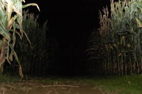 Haunted Maze - Heartland Country Corn Maze