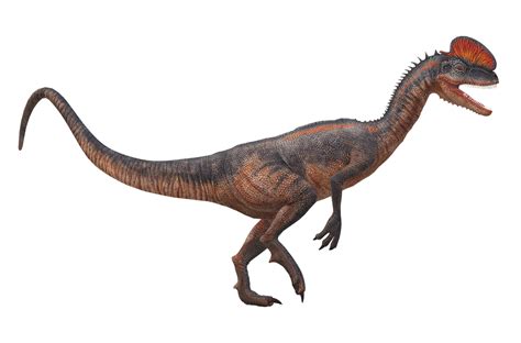 Velociraptor Dinosaur isolated on a Transparent Background 24063822 PNG