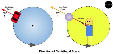 Centrifugal Force -Definition|Examples|Formula - DewWool