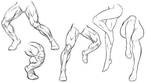 Dynamic Anatomy for Artists - Muscles of the Leg | Robert Marzullo | Skillshare