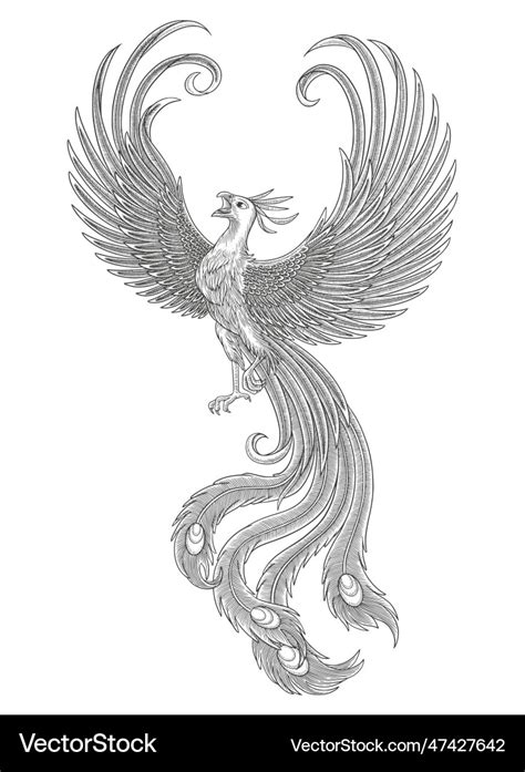 Phoenix bird vintage engraving drawing style Vector Image