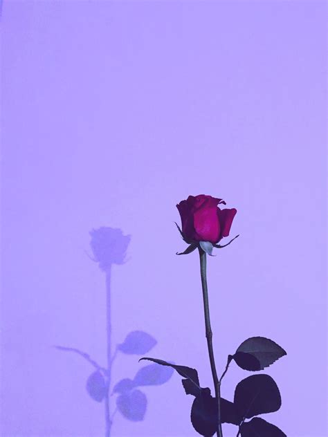 Simple Purple Aesthetic Wallpapers - Top Free Simple Purple Aesthetic Backgrounds - WallpaperAccess