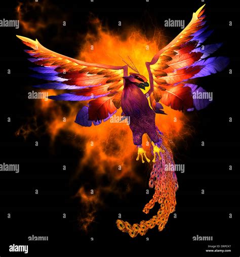 Mythical Phoenix Bird Stock Photos & Mythical Phoenix Bird Stock Images - Alamy