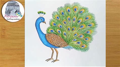 How to draw a Peacock step by step - YouTube